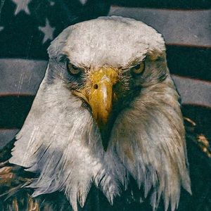 Meet your Posher, Peter